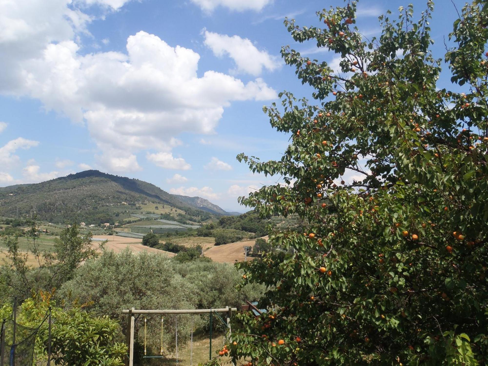 Apartamento Les Chevrefeuilles Manosque Exterior foto
