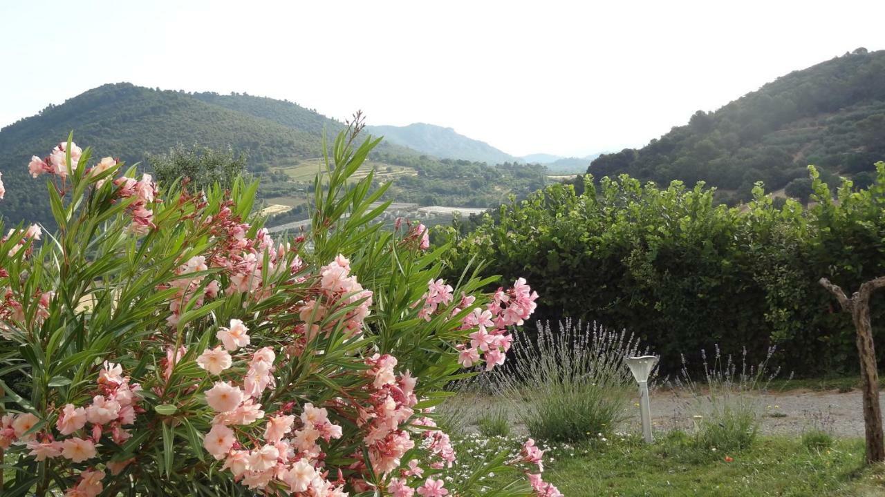 Apartamento Les Chevrefeuilles Manosque Exterior foto